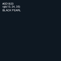 #0D1823 - Black Pearl Color Image
